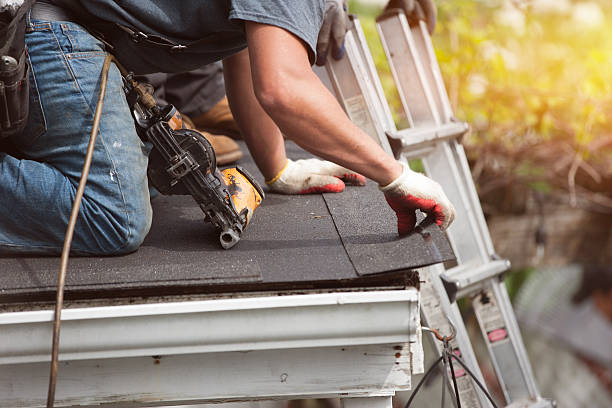 Best Roof Gutter Cleaning  in Chillum, MD